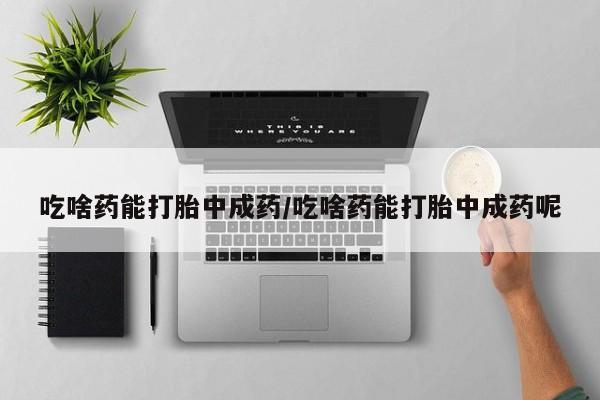 网上米非司酮片打胎药网店吃啥药能打胎中成药/吃啥药能打胎中成药呢