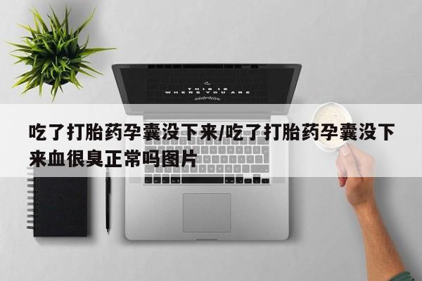 网上米非司酮片打胎药网店吃了打胎药孕囊没下来/吃了打胎药孕囊没下来血很臭正常吗图片