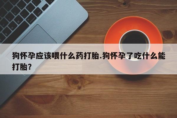 网上米非司酮片打胎药网店狗怀孕应该喂什么药打胎.狗怀孕了吃什么能打胎？